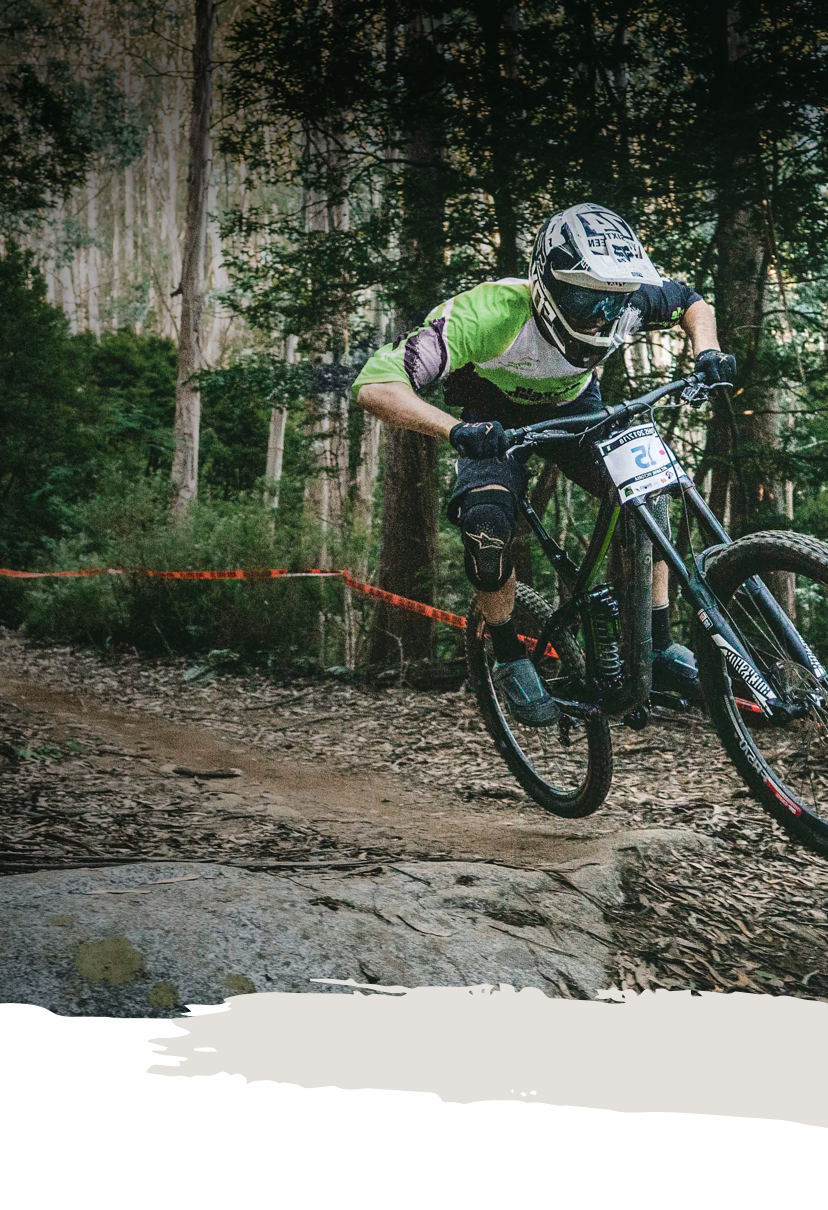 ONLINE BIKE RENTAL Rent a bike TORREVIEJA ALICANTE MURCIA