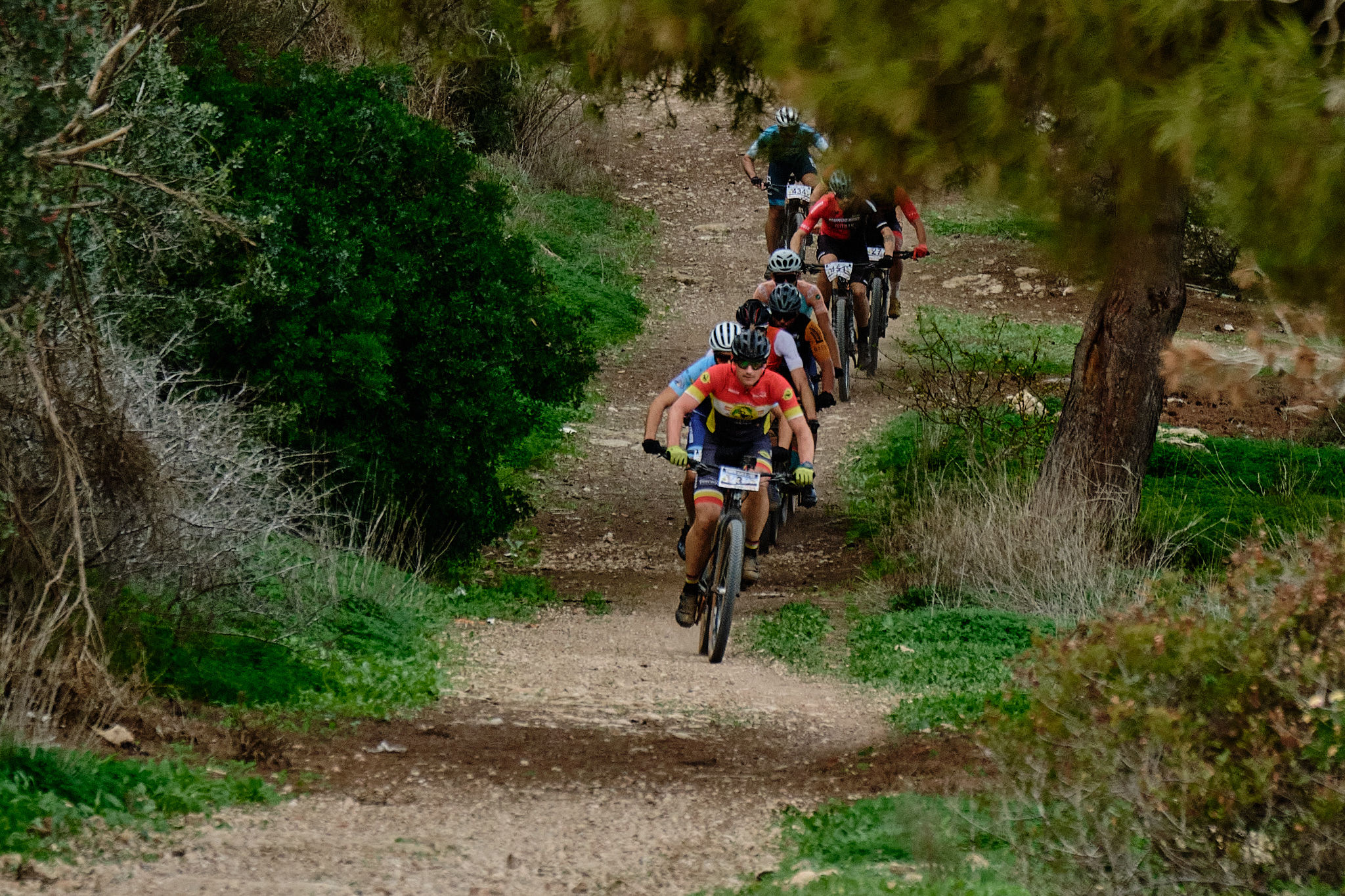 Guided mtb tours Torrevieja