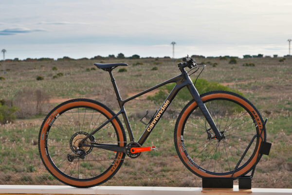 Rent Carbon MTB Cannondale Scalpel HT in Torrevieja