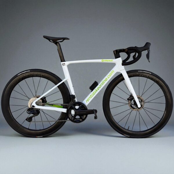 Rent a road bike in Torrevieja
